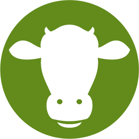 dairy proteins icon
