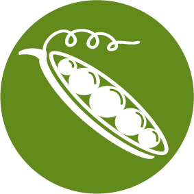 plant protein icon